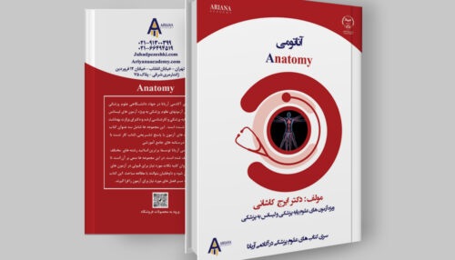 جزوه آناتومی